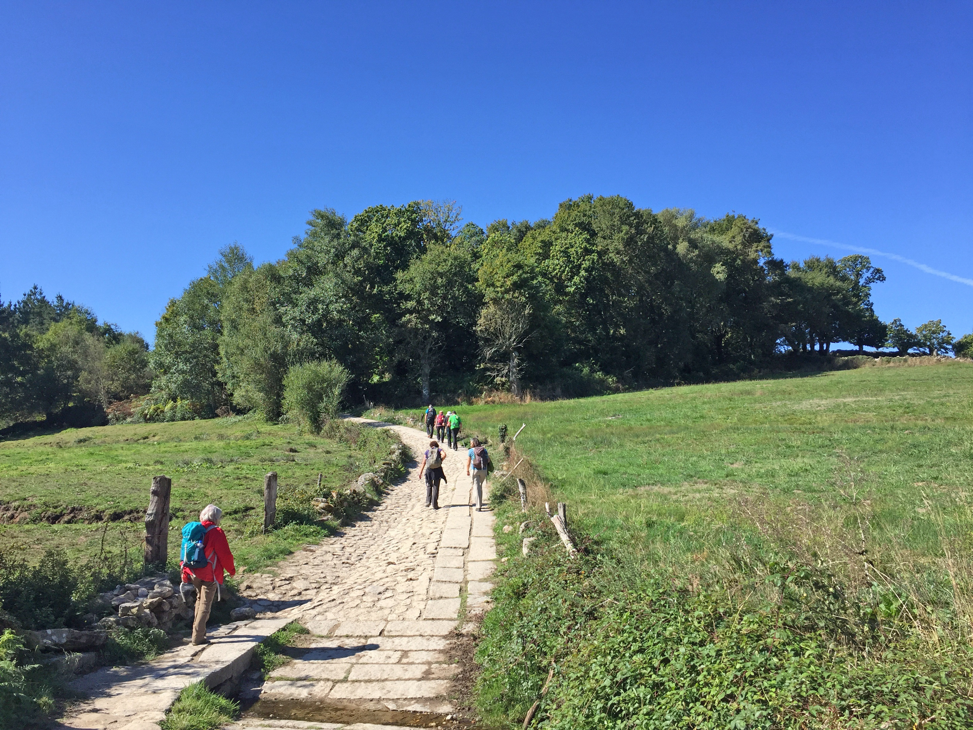 Menschen pilgern oder wandern auf einem Weg zwischen einer Wiese